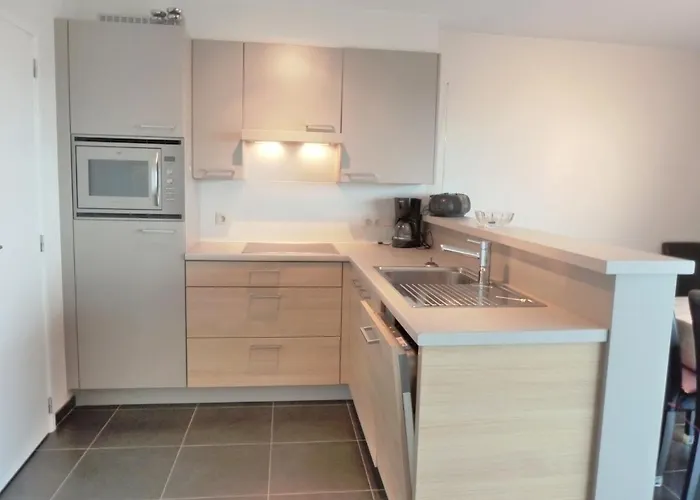 Belle Rose I - Quiet Duplex By Interhome * De Haan